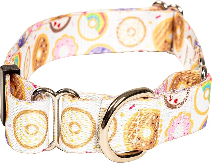 Downtown Pet Supply - Martingale Collar for Dogs - Big, Wide & Thick Dog Collar - Escape-Proof, Weatherproof, Durable and Comfortable - Donut - Extra Large