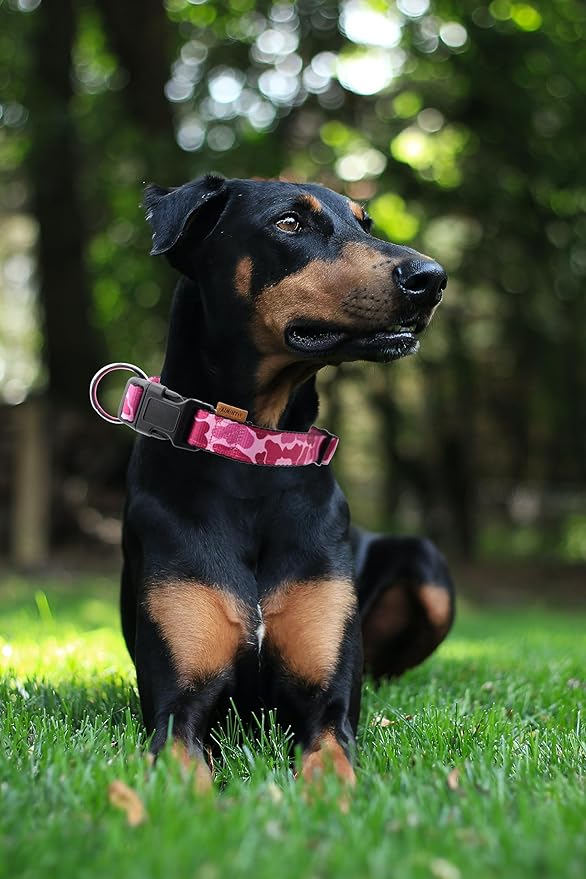 Dog Collar, Cute Floral Pattern, Neoprene Padded and Adjustable Collar with Quick Release Buckle, Reinforced Structure (L (Neck 18-28", Width 1"), Camouflage Pink)