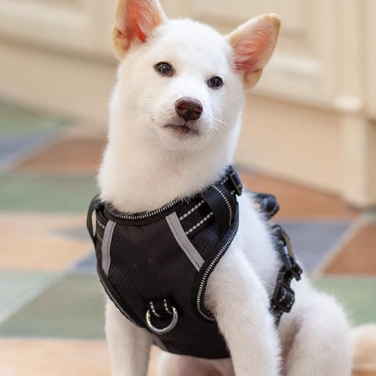 No Pull Dog Harness, Reflective Walking Dog Harness with Easy Control Handle and Front & Back Clips,Adjustable Breathable Soft Padded Dog Vest Harness for Puppy Shiba Inu,Black,S