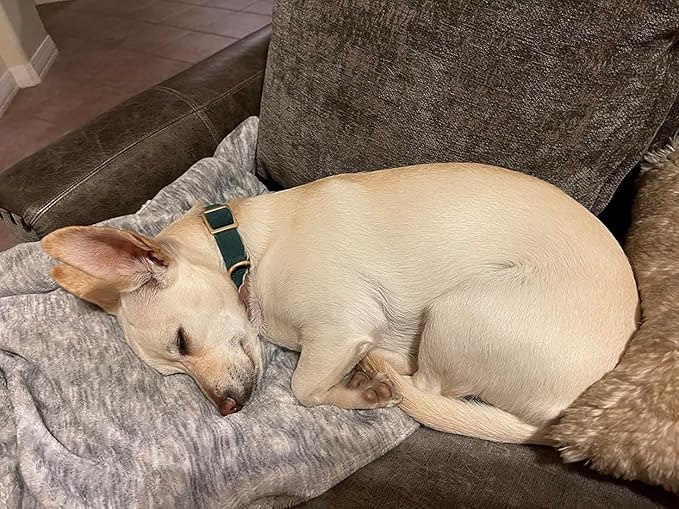 Soft Dog Collar with Metal Buckle Adjustable Durable Comfort Cotton Corduroy Collars for Small Medium Large Dogs Velvet Dog Collars,Dark Green,Large