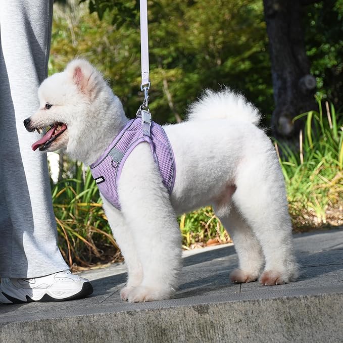 AIITLE Small Dog Harness, No-Pull Cat Harness with a Leash, Step in Adjustable Puppy Harness with Quick-Release Buckle, Reflective Outdoor Pet Vest for Extra Small Dogs and House Cats Purple XXS