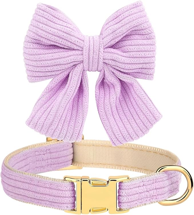 Didog Dog Collar and Leash Set with Bowtie, Girl Dog Collars Metal Buckle Adjustable for Small Medium Dogs(Purple, M)