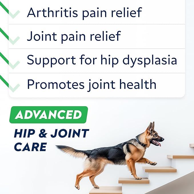 Advanced Glucosamine Chondroitin Joint Supplement for Dogs - Hip & Joint Pain Relief Pills - Green Lipped Mussel & Collagen - Large & Small Breed - Senior Dogs Joint Health - Bacon Flavor - 120Ct