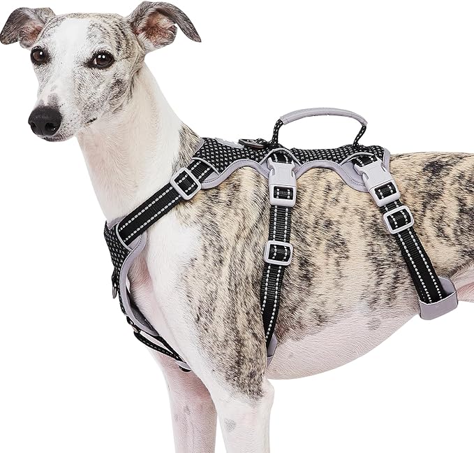 Escape Proof Dog Harness, No Pull Reflective Harness with Lift Handle, Adjustable Pet Vest with Front and Back Leash Clips for Small Medium Large Dogs Walking Hiking Training (Black,L)