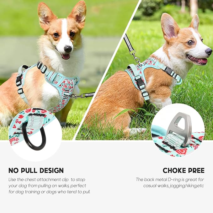 Timos Dog Harness, No-Pull Pet Harness with 2 Leash Clips, Adjustable Soft Padded Dog Vest, Reflective Outdoor Pet Oxford Vest with Easy Control Handle,Cyan,XS
