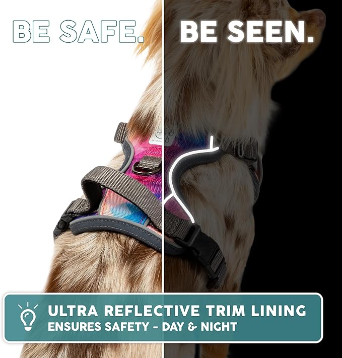 Embark Adventure Dog Harness, Reflective Trim No Pull Dog Harnesses for Small Sized Dogs - Military Grade Nylon, Front Clip with Gel Lined Handle. Soft & Padded Puppy