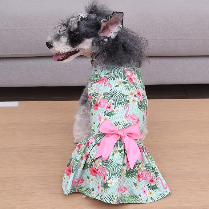 CuteBone Dog Mesh Dress Puppy Sundress Pet Outfit Summer Fashion for Small Dogs Girl Cat Clothes BF34XXS