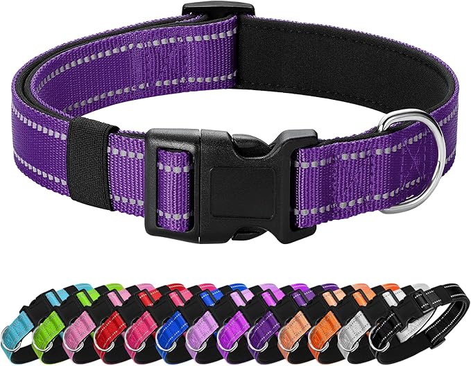 Reflective Dog Collar Padded with Soft Neoprene Breathable Quick Release Basic Dog Collars for Medium Dogs Purple Girl