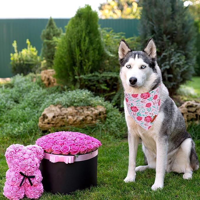 ADOGGYGO Floral Dog Bandana, Red Yellow Rose Pet Scarf, Adjustable Fit Flower Bandanas for Extra Large Dogs Pets (X-Large)