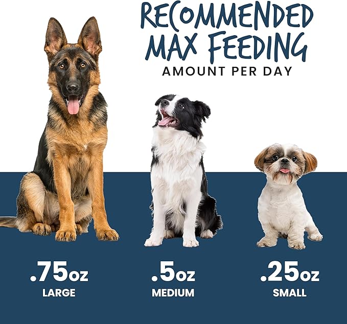 Wild Meadow Farms - Gibson's Toasted Turkey, Soft Jerky Dog Treats, Crafted with Real Meat, Aromatic, and Grain-Free for Training and Rewarding Dogs of All Breeds & Ages - 3 Ounce Pouch