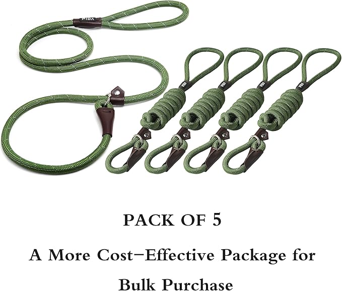 Fida Durable Slip Lead Bulk Pack of 5, Heavy Duty 1/2" x 6 FT Comfortable Strong Rope Slip Leash for Large, Medium & Small Dogs - No Pulling Pet Training Leash with Highly Reflective (Green)