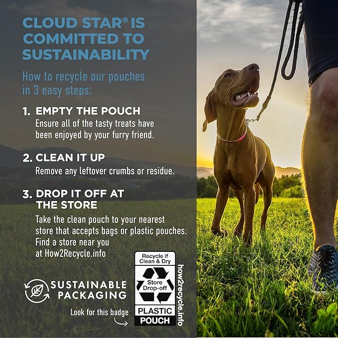 Cloud Star Tricky Trainers Soft & Chewy Dog Training Treats 5 oz. Pouch, Salmon Flavor, Low Calorie Behavior Aid with 130 treats