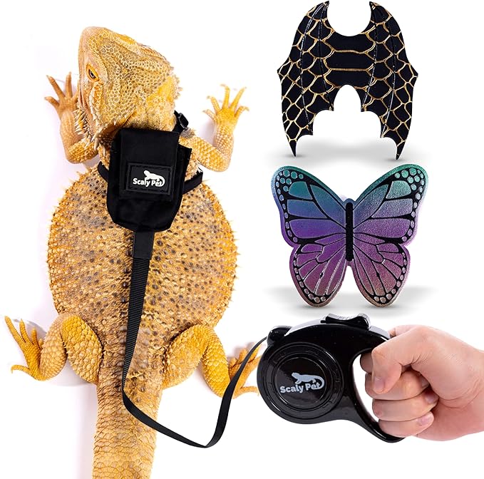 Adjustable Bearded Dragon Leash and Harness Set, Leopard Gecko Leash, Wings & Butterfly Wings, Comfortable Fit, Retractable and Escape-Proof Lizard Harness and Leash, Bearded Dragon Accessories.