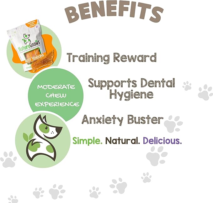 Nature Gnaws Beef Paddywack Tendons for Dogs 5-6" (10 Count) - Long Lasting for Aggressive Chewers - Natural Beef Dog Chew Bones - Rawhide Free (Pack of 2)