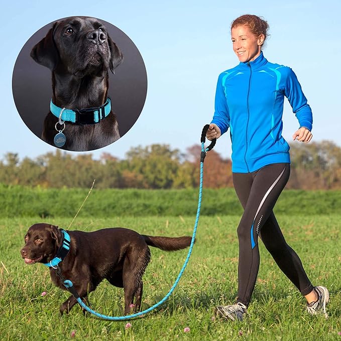 Reflective Dog Collar Padded with Soft Neoprene Breathable Adjustable Nylon Dog Collars for Small Medium Large Dogs (Collar+Leash L Neck 19"-23.5", Blue)