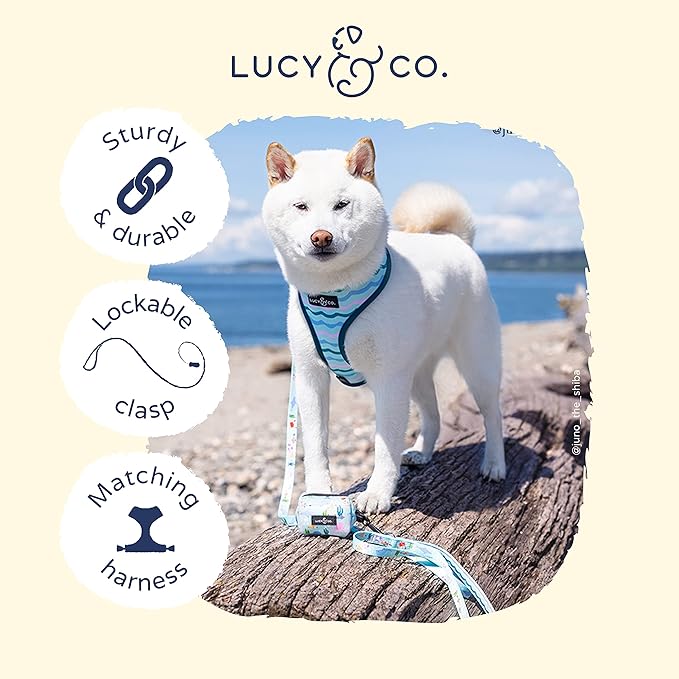 Lucy & Co. Designer Dog Leash - Pet Accessories - Thick Dog Leash - Padded Handle for Comfort - Purple with Green Floral - 5 Foot (Mint Green Blue Fish, Large)