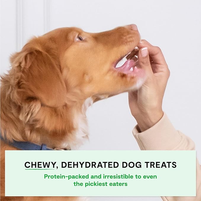 Open Farm, Dehydrated Dog Treats, High Protein & Low Carbohydrate Dog Snacks, Chewy Texture, Made with Ethically & Sustainably Sourced Ingredients, Grass-Fed Beef Recipe, 4.5oz Pouch