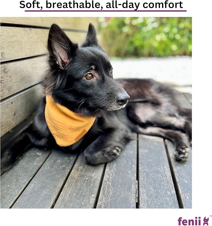 Premium Cotton Dog Bandanas - 2 Pack - Adjustable Fit - Washable - for Small, Medium & Large Breeds - Girl & Boy Dog Accessories - Multiple Sizes (Bumblebee Yellow & Pebble Gray, Large)