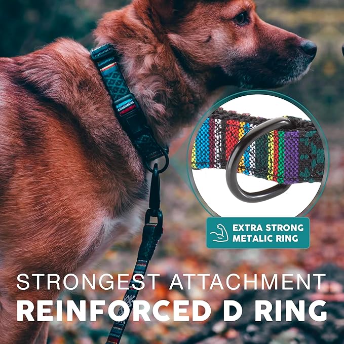 Embark Adventure Dog Collar – Stylish & Durable Nylon Dog Collars for Large Dogs, Comfortable Pet Collar, Collars for Large Breed Dogs with Strong Buckles. Adjustable Big Dog Collars for Large Dogs