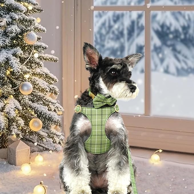 Beirui Cute Small Dog Harness Collar and Leash Set with Bowtie, Soft Adjustable Plaid Puppy Harness for Small Sized Dogs Cats Walks Parties and Photoshoots(Green,XS:Chest 13-18")