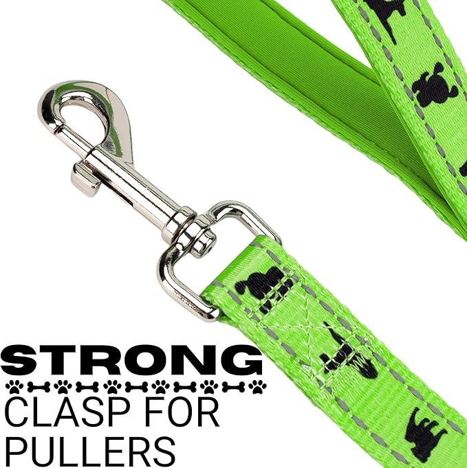 EcoBark Dog Leash - Soft & Reflective Comfort Training Leashes with Padded Handle - Strong Durable Heavy Duty - Training and Pulling for Small, Medium or Large Dogs (Green)