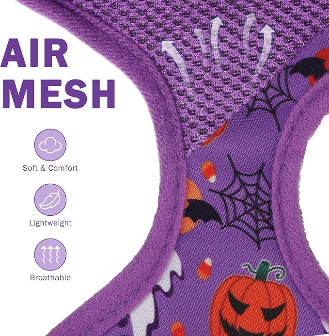 SCENEREAL Small Dog Harness Collar and Leash Set, Adjustable No Pull Pet Harnesses, No Chock Soft Mesh Step in Vest Halloween Costume for Doggie Puppy Dogs Cats Girl Boy Outdoor Walking