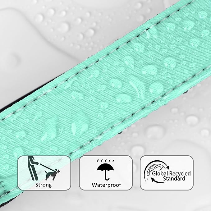 Didog Soft Padded Dog Collars for Small Dogs, Waterproof and Durable Pet Collar with Quick Release Buckle, Light and Breathable for Daily Walking,Green,S(Neck:10-15")