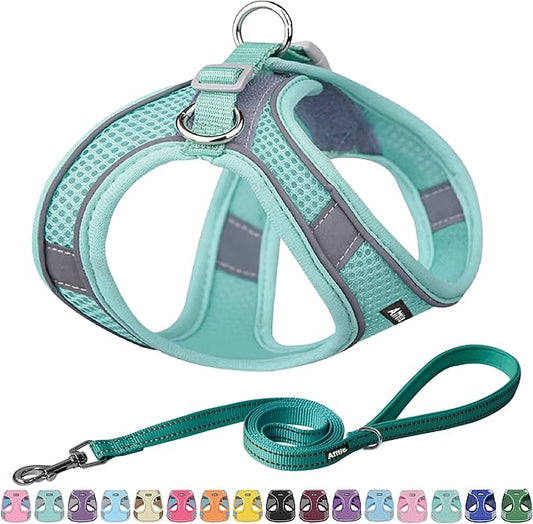 AIITLE Escape Proof Dog Harness - Step in Adjustable Dog Harness No Choke Over with Quick-Release Buckle for Spring- Outdoor Walking, Camping, Training for Medium Dogs Pure Turquoise XL