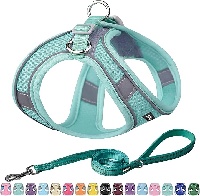 AIITLE Comfortable Dog Harness and Leash Set for Walking - Spring Step in Vest Harness,Reflective Bands, Adjustable No Pull Puppy Essentials, for Small Dogs and House Cats Pure Turquoise XS