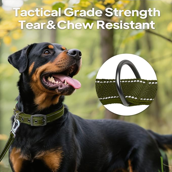 PetiFine Dog Collars for Small Dogs, Neoprene Padded and Adjustable, Reflective Wide Heavy Duty Pet Collars with Durable Metal Belt Buckle for Walking, Green, S