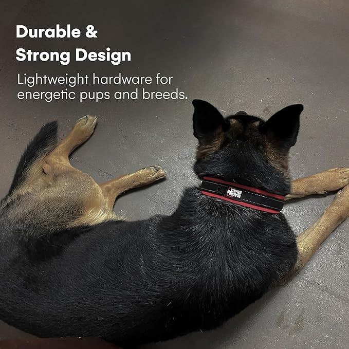 Black Rhino Dog Collar for Large Dogs - Adjustable Reflective Heavy Duty Dog Collars with Ultra-Soft Neoprene Padding - Weatherproof, Durable, and Comfortable for Active Dogs - Burgundy and Black