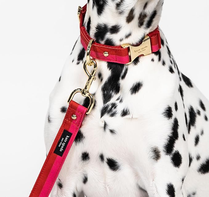 Kate Spade New York Cute Dog Collar with Gold Metal Buckle, 15.5" to 24" Adjustable Collar for Female or Male Dogs, Medium and Large Breeds (Red and Pink)