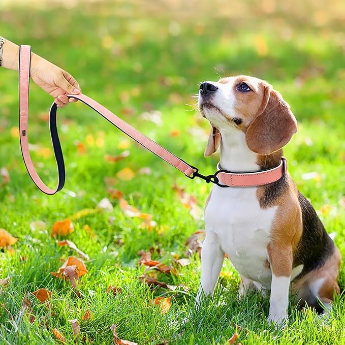 Didog Soft Padded Leather Dog Collar and Leash Set, Heavy Duty Pink Breathable Pet Collars with 4FT Leather Dog Leash for Small Medium Large Dogs, Pink, M