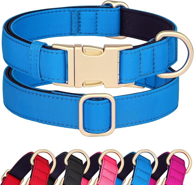 Didog Soft Padded Dog Collar for Large Dogs, Waterproof and Durable Pet Collar with Quick Release Buckle, Light and Breathable for Daily Walking,Blue,L(Neck15-23)