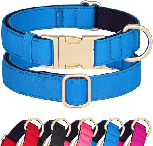 Didog Soft Padded Dog Collars for Medium Dogs, Waterproof and Durable Pet Collar with Quick Release Buckle, Light and Breathable for Daily Walking,Blue,M(Neck13-20)