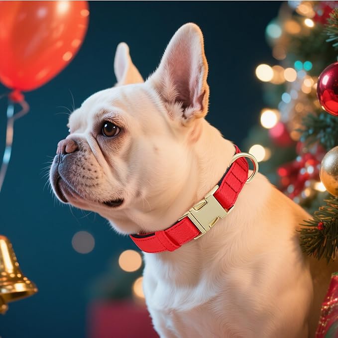 Didog Soft Padded Dog Collar for Large Dogs, Waterproof and Durable Pet Collar with Quick Release Buckle, Light and Breathable for Daily Walking,Red,L(Neck:15-23")