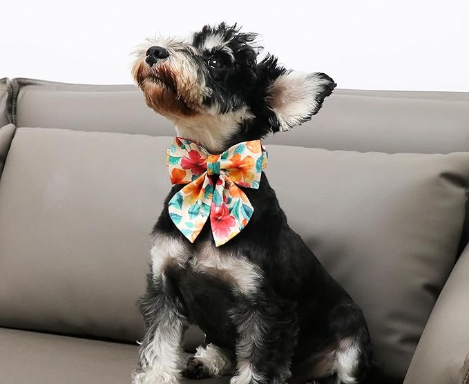 Unique Style Paws Cotton Dog Collar with Bow Floral Plaid Colorful Dog Collar with Bow Tie for Small Medium Large Dogs Pets Gifts