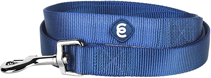 Blueberry Pet Essentials Durable Classic Dog Leash | Basic Nylon Dog Leash | 5ft. x 5/8" Small Dog Leash | Royal Blue Dog Leash | Standard Dog Leashes & Lightweight Dog Leash for Training