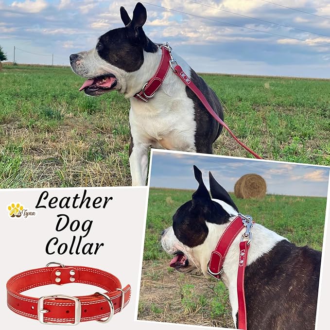 ADITYNA Heavy Duty Red Leather Dog Collar for Large Dogs - Soft and Strong Leather Collar for Walking and Training