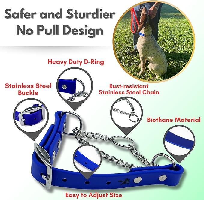 Martingale Collar for Dogs, Biothane, Stainless Steel Hardware, No Pull, Made in The USA, Professional Grade, Small, Blue