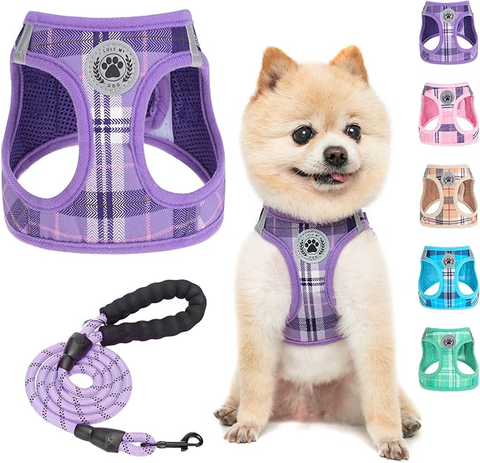 BEAUTYZOO Small Dog Harness and Leash Set,Step in No Choke No Pull Soft Mesh Dog Harnesses Reflective for Extra-Small Medium Puppy Dogs and Cats, Plaid Dog Vest Harness for XS S Pets, Purple S