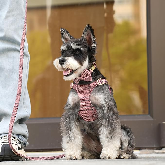 Beirui Cute Small Dog Harness Collar and Leash Set with Bowtie, Soft Adjustable Plaid Puppy Harness for Small Sized Dogs Cats Walks Parties and Photoshoots(Maroon,XS:Chest 13-18")