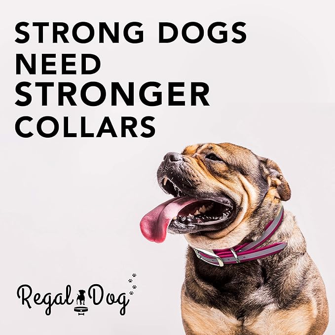 Regal Dog Products Small Pink Heavy Duty Reflective Dog Collar with Durable Metal Buckle and D Ring Adjustable, Chew Proof & Waterproof Strong Small Dog Collar Other Sizes for Medium & Large Dogs