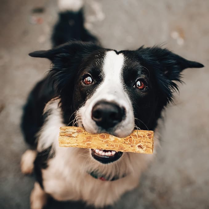 Fieldcrest Farms Nothing to Hide Natural Rawhide Alternative Rolls for Dogs - 3 Pack Bundle (Chicken, Beef, Peanut Butter) Premium Grade Easily Digestible Chews for Moderate Chewers up to 35 lbs