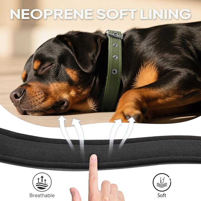PetiFine Dog Collars for Small Dogs, Neoprene Padded and Adjustable, Reflective Wide Heavy Duty Pet Collars with Durable Metal Belt Buckle for Walking, Green, S