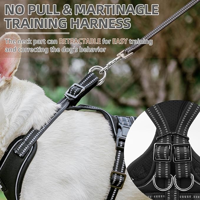 PUPTECK Dog Harness and Leash Set for Small Medium Sized Dogs, No Pull Dog Harness for Walking Training, Adjustable Reflective Puppy French Bulldog Frenchie Harness Soft Padded Vest, Black, M