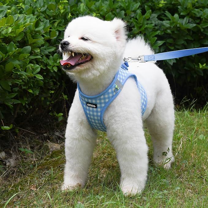 AIITLE Breathable Mesh Dog Vest Harness, No Pull Escape Proof Vest Harnesses with Reflective Bands, Adjustable Plaid Pet Outdoor Harnesses for Small and Medium Dogs Blue M