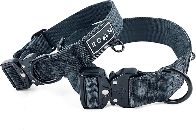 Made to ROAM Premium Dog Collar - Adjustable Heavy Duty Nylon Collar with Quick-Release Metal Buckle (Colorado Nightsky, Classic Size 3.5, Old Roam Logo)
