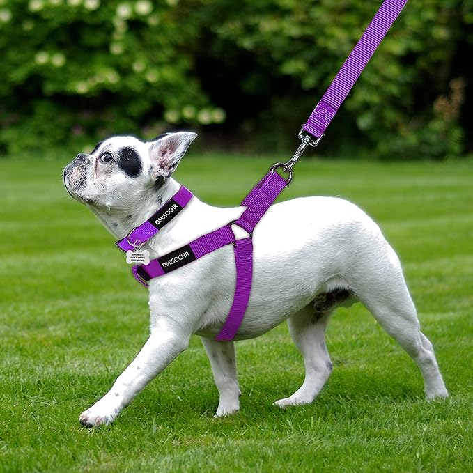 No Pull Dog Harness - Adjustable Step-in Harness & Leash Set for Small, Medium, Large Dogs - Escape Proof Soft Pet Harness for Walking, Training, Hiking, Outdoor Activities