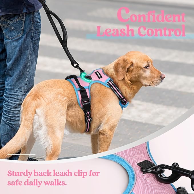 rabbitgoo Dog Harness No Pull with 2 Leash Clips, Adjustable Soft Padded, Reflective Oxford No Choke Pet Vest with Easy Control Handle for Small Dogs, Pink & Blue, S
